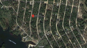 Lake Lot SOLD! in Woodville, Texas