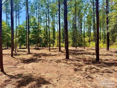 Lot 87 on Pine Preserve Ln offers a rare, high-and-dry 3.77-acre - photo 4