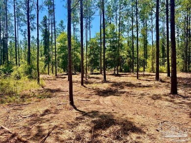 Lot 87 on Pine Preserve Ln offers a rare, high-and-dry 3.77-acre - photo 5