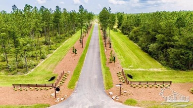 Lot 87 on Pine Preserve Ln offers a rare, high-and-dry 3.77-acre - photo 8