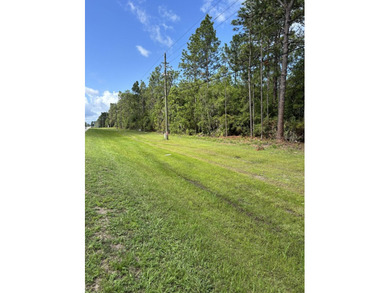 Price reduced on 11 July 2026. Sellers are motivated. Bring - photo 4