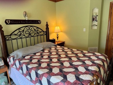 BEAUTIFUL HOME-PRIVATE LOCATION -ON LAKE OMAHA-Ski Lake. 1-OWNER - photo 12