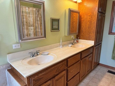 BEAUTIFUL HOME-PRIVATE LOCATION -ON LAKE OMAHA-Ski Lake. 1-OWNER - photo 15