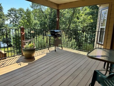 BEAUTIFUL HOME-PRIVATE LOCATION -ON LAKE OMAHA-Ski Lake. 1-OWNER - photo 33