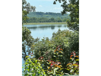 BEAUTIFUL HOME-PRIVATE LOCATION -ON LAKE OMAHA-Ski Lake. 1-OWNER - photo 37