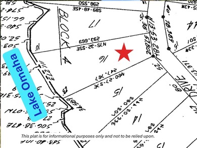 BEAUTIFUL HOME-PRIVATE LOCATION -ON LAKE OMAHA-Ski Lake. 1-OWNER - photo 38