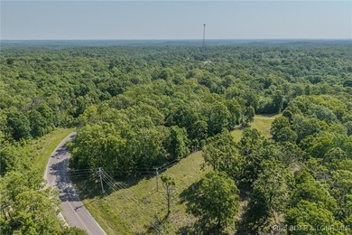 Excellent building lot consisting of 3.01 acres located on Ivy - photo 3