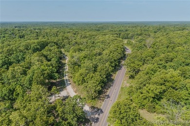 Excellent building lot consisting of 3.01 acres located on Ivy - photo 7