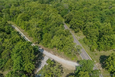 Excellent building lot consisting of 3.01 acres located on Ivy - photo 8