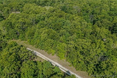 Excellent building lot consisting of 3.01 acres located on Ivy - photo 9