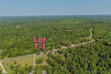 Excellent building lot consisting of 3.01 acres located on Ivy - photo 2