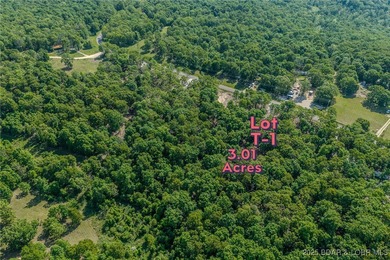 Excellent building lot consisting of 3.01 acres located on Ivy - photo 4