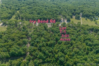 Excellent building lot consisting of 3.01 acres located on Ivy - photo 5
