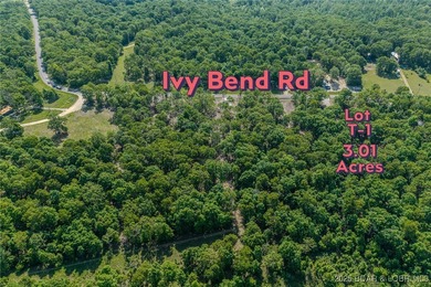Excellent building lot consisting of 3.01 acres located on Ivy - photo 6