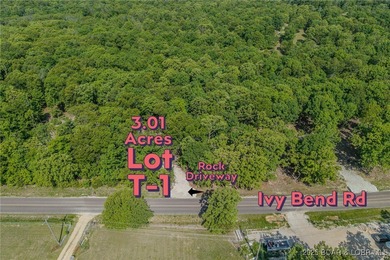 Excellent building lot consisting of 3.01 acres located on Ivy - photo 9