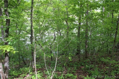 Lake Lot For Sale in Gravois Mills, Missouri