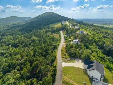 Want Mt. Riante views for you new home, then this is your chance - photo 11
