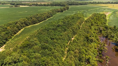 The Birdie 70: Farm & Hunt Investment Discover a rare 70-acre - photo 11