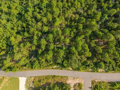 Want Mt. Riante views for you new home, then this is your chance - photo 12