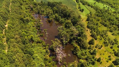 The Birdie 70: Farm & Hunt Investment Discover a rare 70-acre - photo 12
