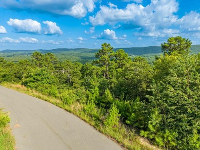 Want Mt. Riante views for you new home, then this is your chance - photo 13