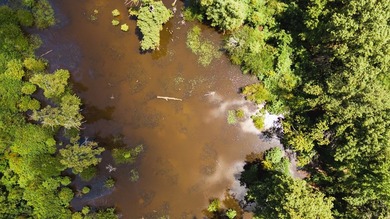 The Birdie 70: Farm & Hunt Investment Discover a rare 70-acre - photo 13