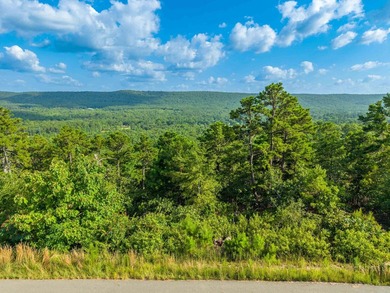 Want Mt. Riante views for you new home, then this is your chance - photo 14
