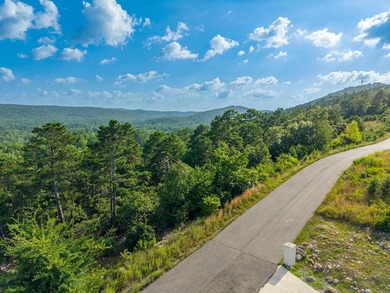 Want Mt. Riante views for you new home, then this is your chance - photo 15