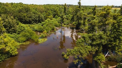 The Birdie 70: Farm & Hunt Investment Discover a rare 70-acre - photo 15