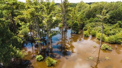 The Birdie 70: Farm & Hunt Investment Discover a rare 70-acre - photo 16