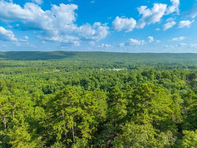 Want Mt. Riante views for you new home, then this is your chance - photo 17