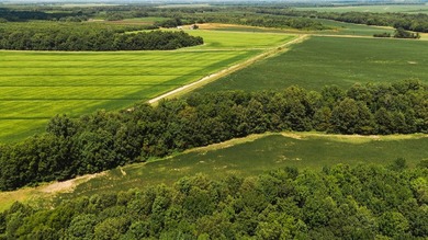 The Birdie 70: Farm & Hunt Investment Discover a rare 70-acre - photo 17