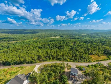 Want Mt. Riante views for you new home, then this is your chance - photo 18