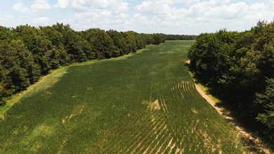 The Birdie 70: Farm & Hunt Investment Discover a rare 70-acre - photo 19