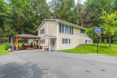 Mountain Lake - Sullivan County Home Sale Pending in Smallwood New York