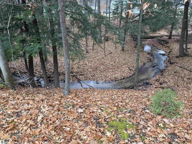 (private lake, pond, creek) Home For Sale in Harrietta Michigan