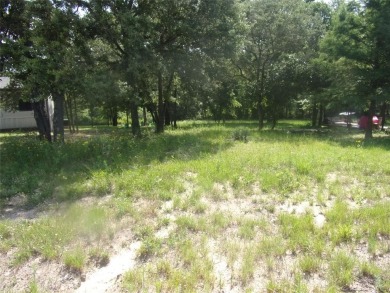 Lake Lot For Sale in Murchison, Texas