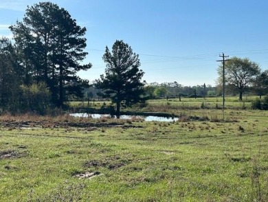 Lake Acreage For Sale in Marietta, Texas