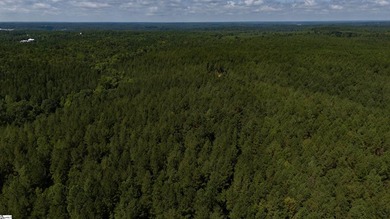 Welcome to 175 acres of beautiful, primarily wooded land located - photo 11