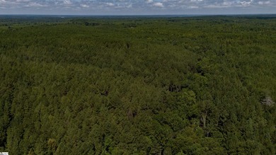 Welcome to 175 acres of beautiful, primarily wooded land located - photo 12