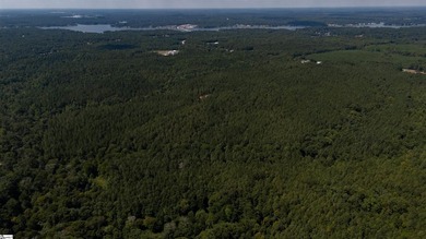 Welcome to 175 acres of beautiful, primarily wooded land located - photo 13