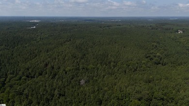 Welcome to 175 acres of beautiful, primarily wooded land located - photo 14
