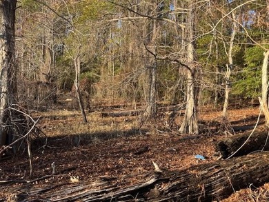*This Old House* special! A rare chance to own over 300 feet of - photo 25