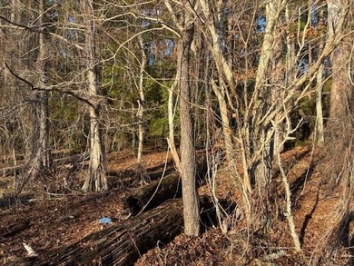 *This Old House* special! A rare chance to own over 300 feet of - photo 26