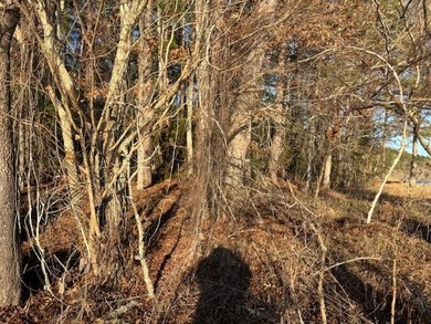 *This Old House* special! A rare chance to own over 300 feet of - photo 28