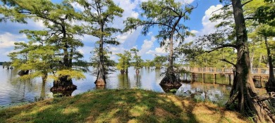 Caddo Lake Acreage For Sale in Oil City Louisiana