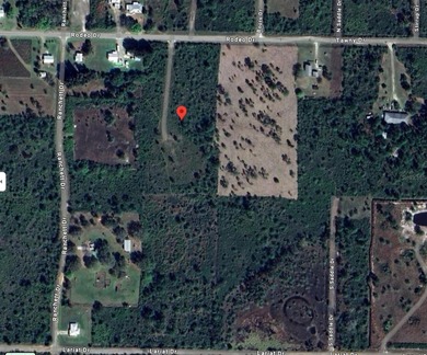 Nice high and dry 5-acre vacant land parcel located in the quiet - photo 3