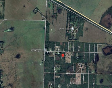 Nice high and dry 5-acre vacant land parcel located in the quiet - photo 4