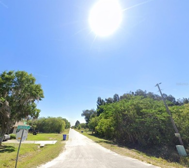 Nice high and dry 5-acre vacant land parcel located in the quiet - photo 5