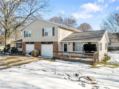 Springfield Lake Home For Sale in Lakemore Ohio